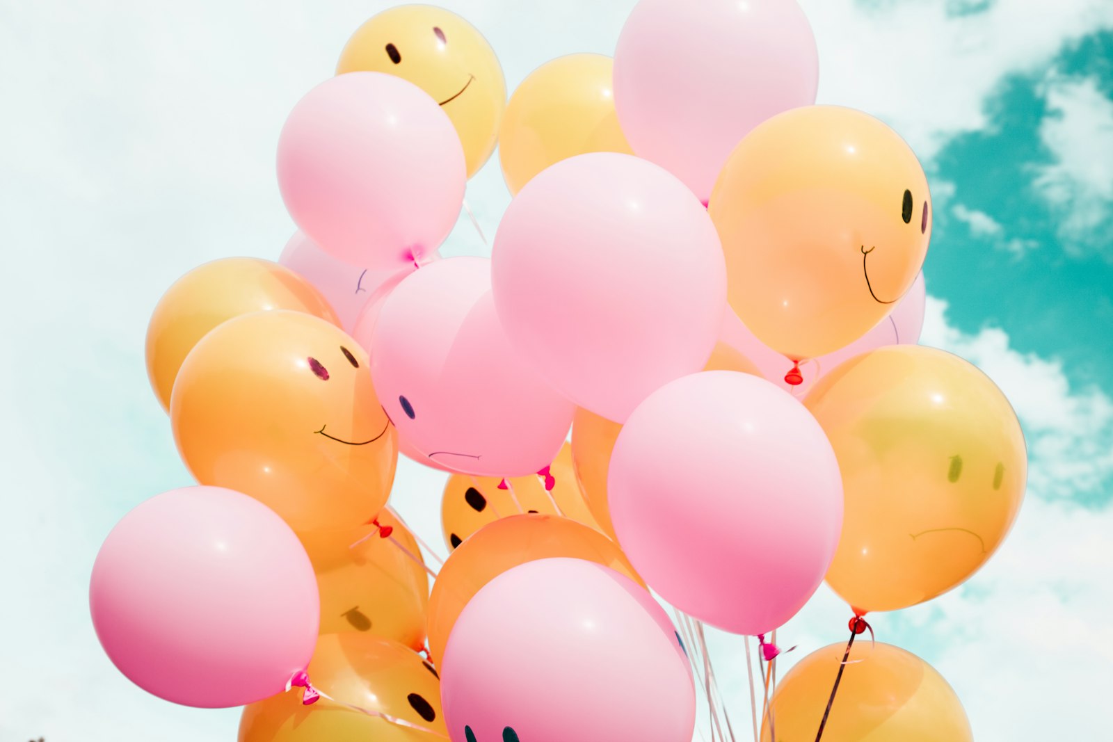Estrogen: Why It Does Basically Everything