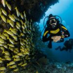 Omega-3s and the Midlife Body: What They Do and How to Get Enough