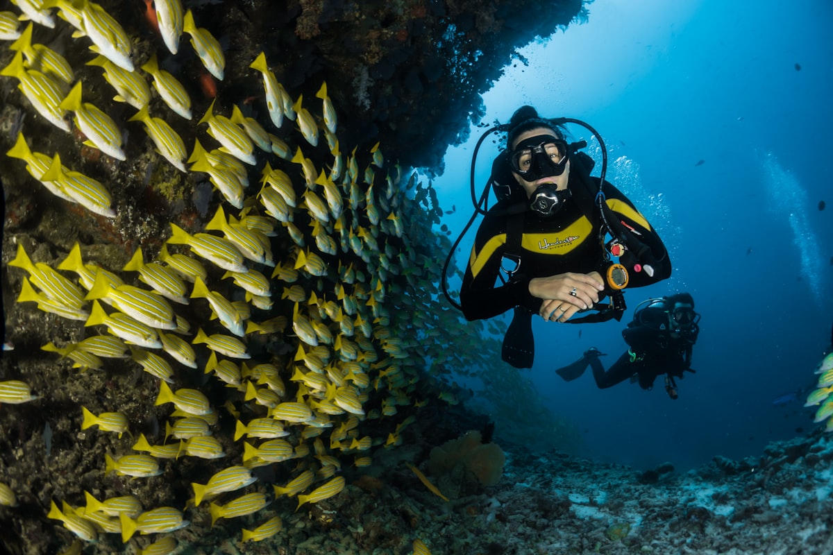 Omega-3s and the Midlife Body: What They Do and How to Get Enough